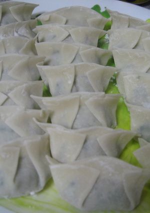 餃子大好き♡巻き方？包み方☆-レシピのメイン写真