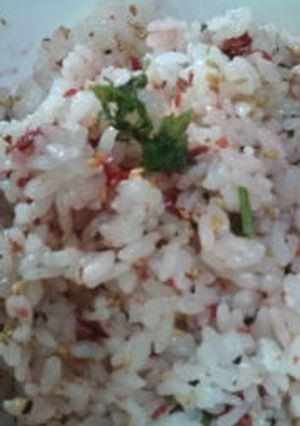 夏のお昼に☆梅しそご飯-レシピのメイン写真