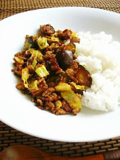 茄子と挽き肉のピリ辛ご飯-レシピのメイン写真