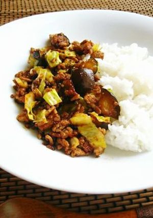 茄子と挽き肉のピリ辛ご飯-レシピのメイン写真