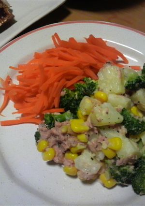 温野菜とツナのまったりサラダ-レシピのメイン写真