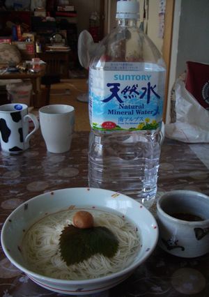 南アルプスの天然水ときしめん亭の出逢い♪-レシピのメイン写真