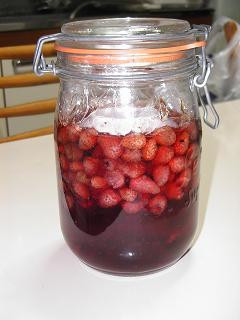 果実酒★ワイルドストロベリー酒-レシピのメイン写真
