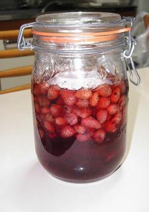 果実酒★ワイルドストロベリー酒-レシピのメイン写真