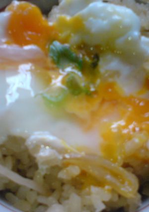もやしの炊き込みごはん丼-レシピのメイン写真