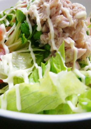 サラダうどん-レシピのメイン写真