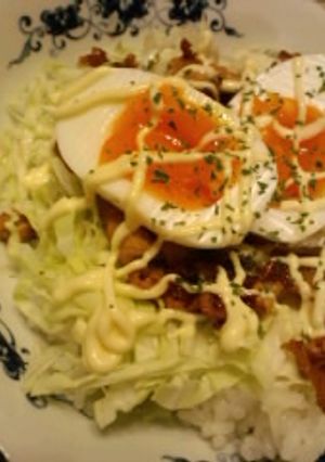 サプリ米でガッツリ焼肉丼！-レシピのメイン写真