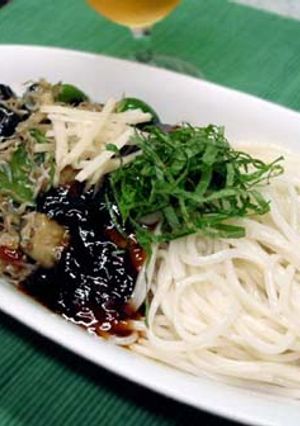 茄子とじゃこの夏うどん-レシピのメイン写真