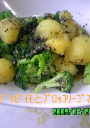 ｲﾓとﾌﾞﾛｯｺﾘｰのｺﾞﾏ和え-レシピのメイン写真