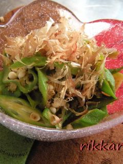 オクラ&ゴーヤー★くたっと煮-レシピのメイン写真