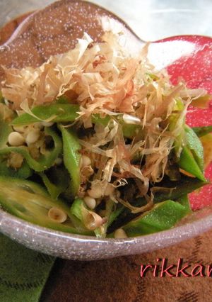 オクラ＆ゴーヤー★くたっと煮-レシピのメイン写真