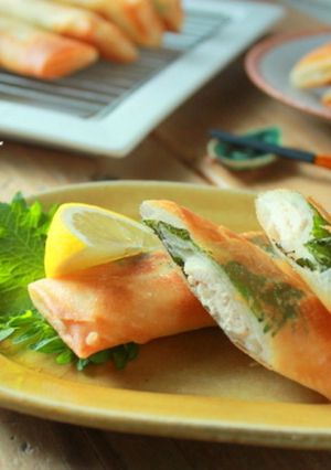 味付けいらず☆パリッもちっ春巻き-レシピのメイン写真