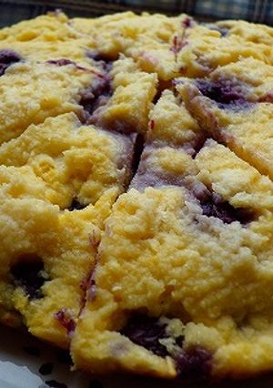 おからブルーベリーヨーグルトケーキ-レシピのメイン写真