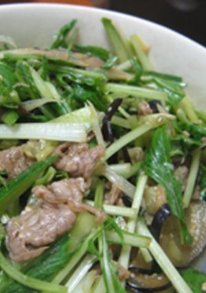 牛肉と夏野菜のサラダ-レシピのメイン写真