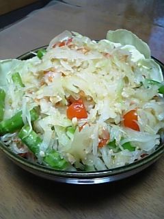 ソムタム 青パパイヤのサラダ-レシピのメイン写真