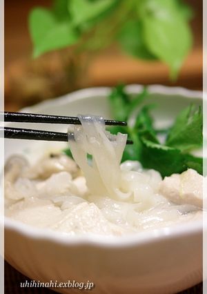 鶏のココナツミルクスープ　+フォー-レシピのメイン写真