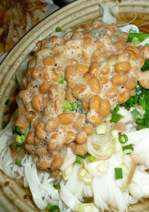 夏バテ解消☆ネバネバうどん-レシピのメイン写真