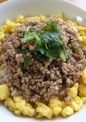 うちの２色そぼろ丼-レシピのメイン写真