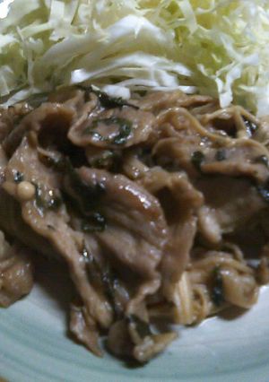 豚肉の照り炒め-レシピのメイン写真