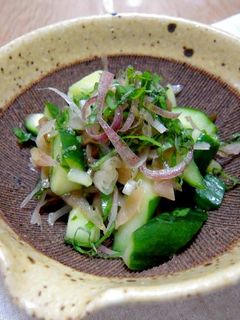 きゅうりと香味野菜のザーサイ和え-レシピのメイン写真