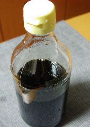 *九州人の甘め*本かえし-レシピのメイン写真
