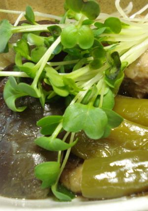 茄子と豚肉の揚げ浸し-レシピのメイン写真