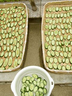 干しきゅうり-レシピのメイン写真