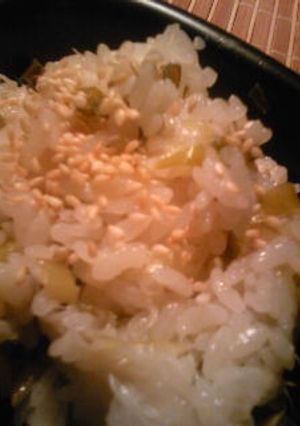 長葱ご飯-レシピのメイン写真