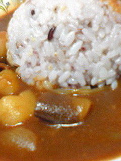 とろ~り♪牛すじとナスのカレー-レシピのメイン写真