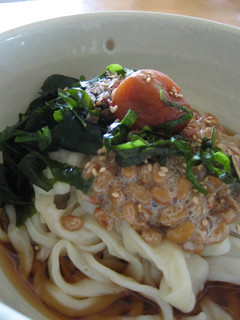納豆とわかめの冷やしうどん-レシピのメイン写真
