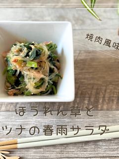 ほうれん草とツナの春雨サラダ-レシピのメイン写真