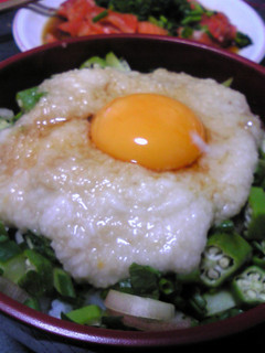夏にぴったり☆さっぱり薬味丼-レシピのメイン写真