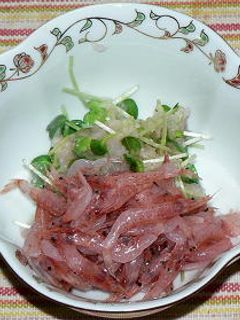 生桜エビとかいわれ菜の梅おろし和え-レシピのメイン写真