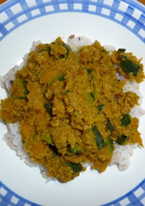 かぼちゃのドライカレー・・・もどき-レシピのメイン写真