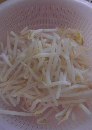 もやしをシャキシャキに茹でる方法-レシピのメイン写真