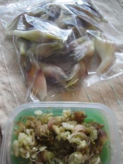 みょうがの保存は冷凍です。-レシピのメイン写真