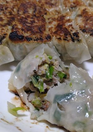 【食品安全】焼き餃子-レシピのメイン写真