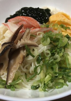 これ一杯で満足♪具だくさん彩りそうめん-レシピのメイン写真