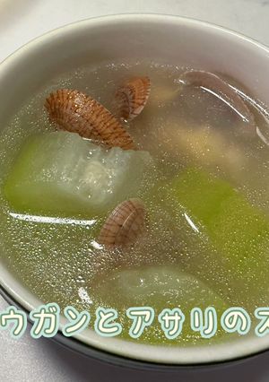 トウガンとアサリのスープ-レシピのメイン写真