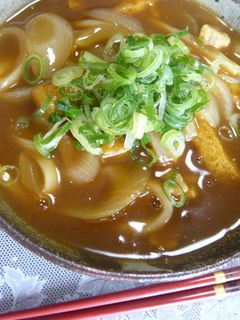 簡単 *゚✲和風カレーうどん✲゚ฺ*:-レシピのメイン写真