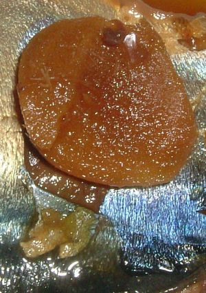 鯖煮付け-レシピのメイン写真