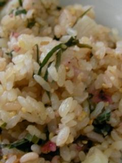 梅干たきこみご飯-レシピのメイン写真