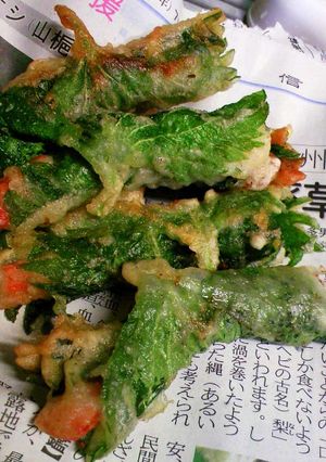 お弁当にも☆えびの大葉巻き揚げ☆-レシピのメイン写真
