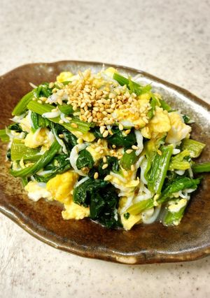 美味つまみ♪ほうれん草のしらす卵和え-レシピのメイン写真
