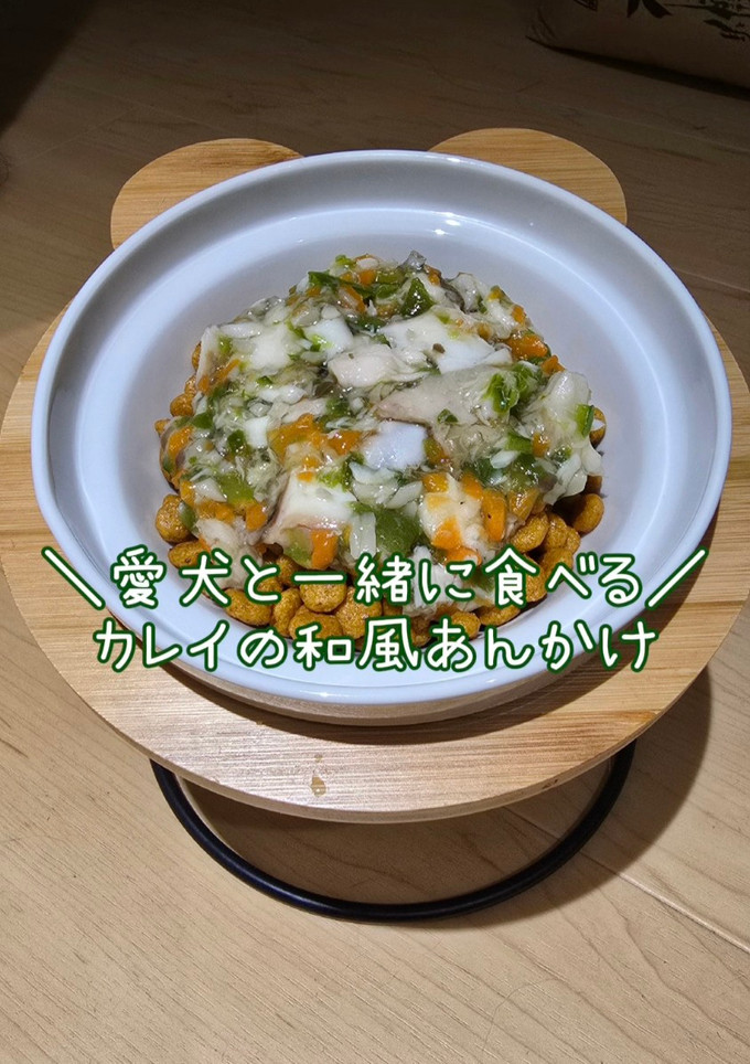 【犬用】カレイの和風あんかけ-レシピのメイン写真