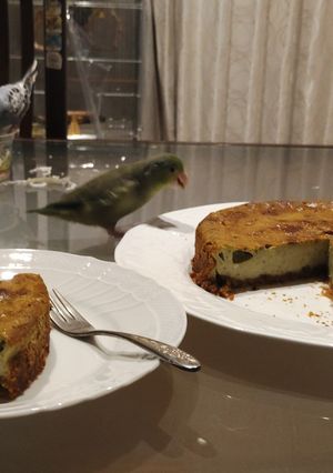 抹茶チーズケーキ-レシピのメイン写真