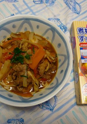 夏カレーうどん・ジンジャー風味-レシピのメイン写真
