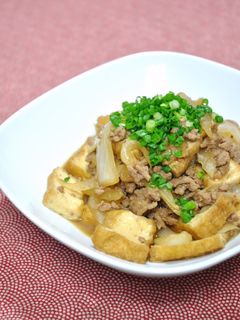 厚揚げとひき肉の甘辛煮-レシピのメイン写真