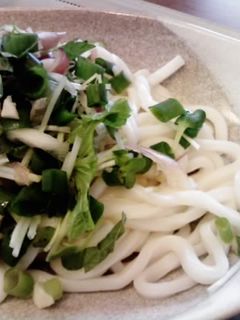 夏はヘルシー☆薬味de冷やしうどん-レシピのメイン写真
