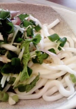 夏はヘルシー☆薬味de冷やしうどん-レシピのメイン写真